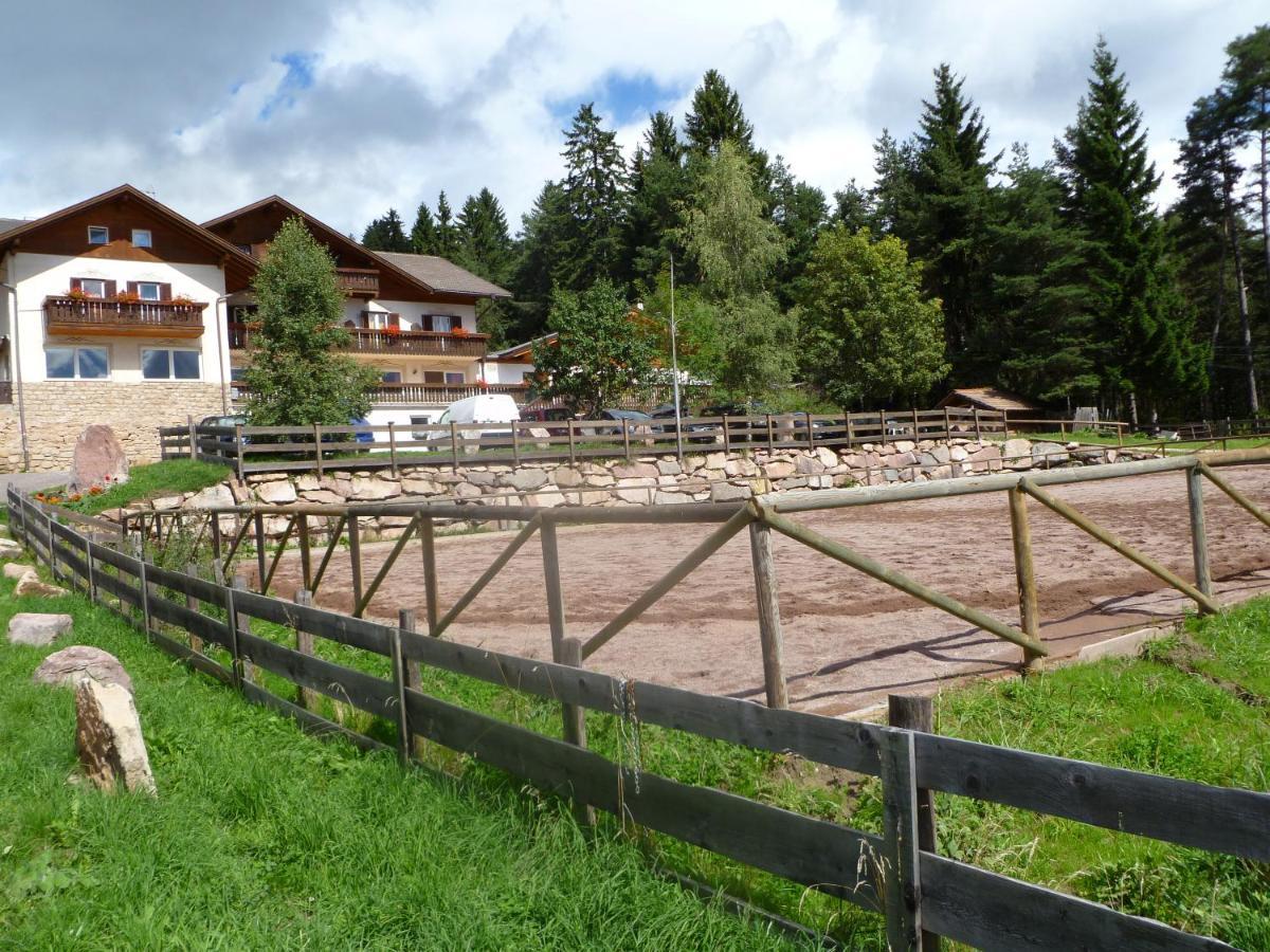 Reiterhof Edelweiss Hotel San Genesio Atesino Exterior foto